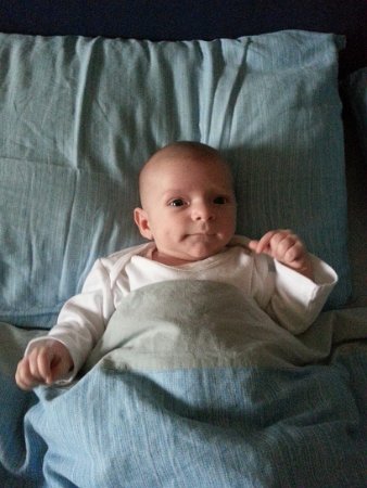2013-01-26 09.51.39